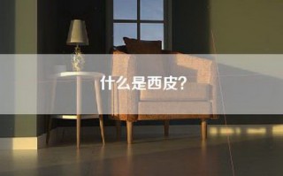 什么是西皮？