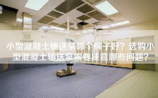 小型混凝土输送泵哪个牌子好？选购小型混凝土输送泵需要注意哪些问题？