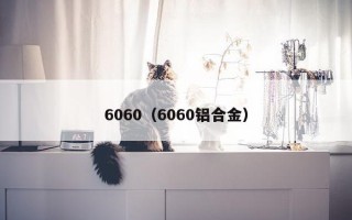 6060（6060铝合金）