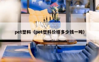 pet塑料（pet塑料价格多少钱一吨）