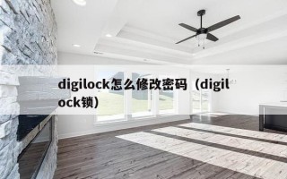 digilock怎么修改密码（digilock锁）