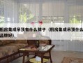 厨房集成吊顶有什么牌子（厨房集成吊顶什么品牌好）