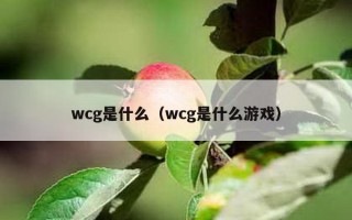 wcg是什么（wcg是什么游戏）