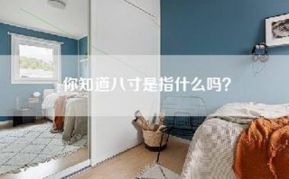 你知道八寸是指什么吗？