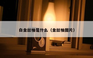 白金丝柚是什么（金丝柚图片）