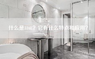 什么是316L？它有什么特点和应用？