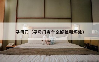 子母门（子母门有什么好处和坏处）