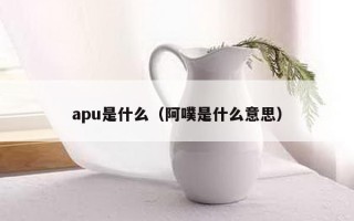 apu是什么（阿噗是什么意思）