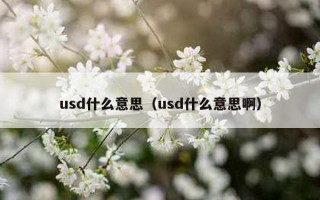 usd什么意思（usd什么意思啊）