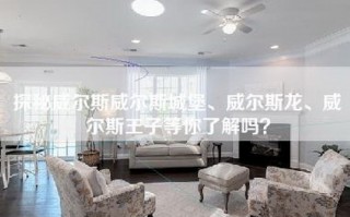 探秘威尔斯威尔斯城堡、威尔斯龙、威尔斯王子等你了解吗？