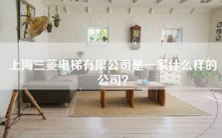 上海三菱电梯有限公司是一家什么样的公司？