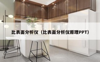 比表面分析仪（比表面分析仪原理PPT）