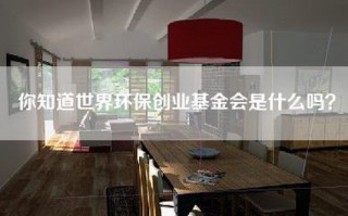 你知道世界环保创业基金会是什么吗？