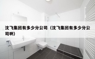 沈飞集团有多少分公司（沈飞集团有多少分公司啊）