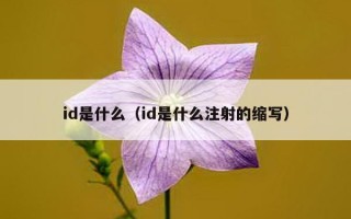 id是什么（id是什么注射的缩写）