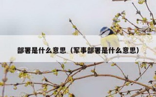 部署是什么意思（军事部署是什么意思）