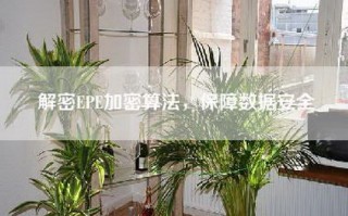 解密EPE加密算法，保障数据安全