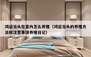 鸿运当头在室内怎么养殖（鸿运当头的养殖方法和注意事项养殖日记）