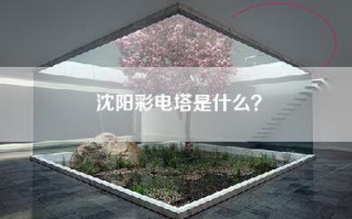 沈阳彩电塔是什么？