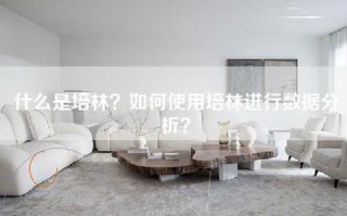 什么是培林？如何使用培林进行数据分析？