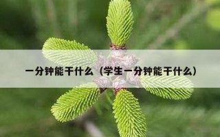 一分钟能干什么（学生一分钟能干什么）