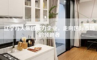 辽宁方大集团实力企业，走向国际市场的领跑者