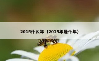 2015什么年（2015年是什年）