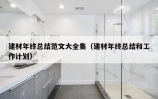 建材年终总结范文大全集（建材年终总结和工作计划）