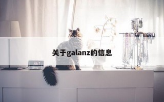 关于galanz的信息