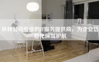 秋林公司专业的IT服务提供商，为企业信息化保驾护航