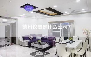 德州仪器是什么公司？