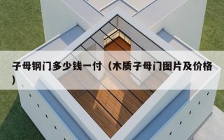 子母钢门多少钱一付（木质子母门图片及价格）