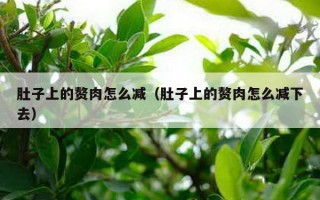 肚子上的赘肉怎么减（肚子上的赘肉怎么减下去）