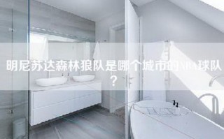 明尼苏达森林狼队是哪个城市的NBA球队？