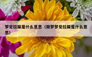 梦见拉屎是什么意思（做梦梦见拉屎是什么意思）