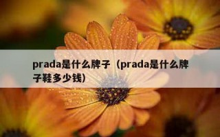 prada是什么牌子（prada是什么牌子鞋多少钱）