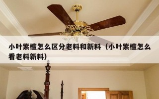 小叶紫檀怎么区分老料和新料（小叶紫檀怎么看老料新料）