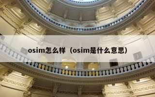 osim怎么样（osim是什么意思）