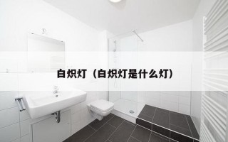 白炽灯（白炽灯是什么灯）