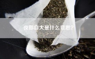 夜郎自大是什么意思？