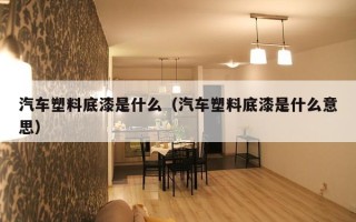 汽车塑料底漆是什么（汽车塑料底漆是什么意思）