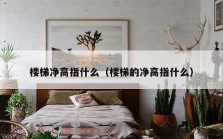 楼梯净高指什么（楼梯的净高指什么）