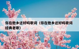 你在他乡还好吗歌词（你在他乡还好吗歌词 经典老歌）