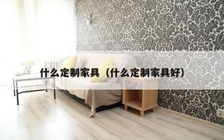 什么定制家具（什么定制家具好）