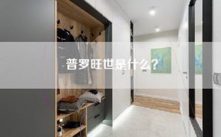 普罗旺世是什么？