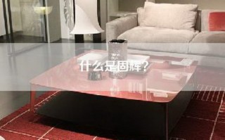 什么是固辉？