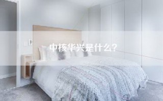 中核华兴是什么？