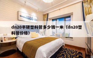 dn20半硬塑料管多少钱一米（dn20塑料管价格）