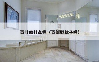 百叶蚊什么样（百部驱蚊子吗）