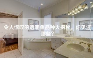 令人惊叹的透明鱼品种大揭秘，你见过哪些？